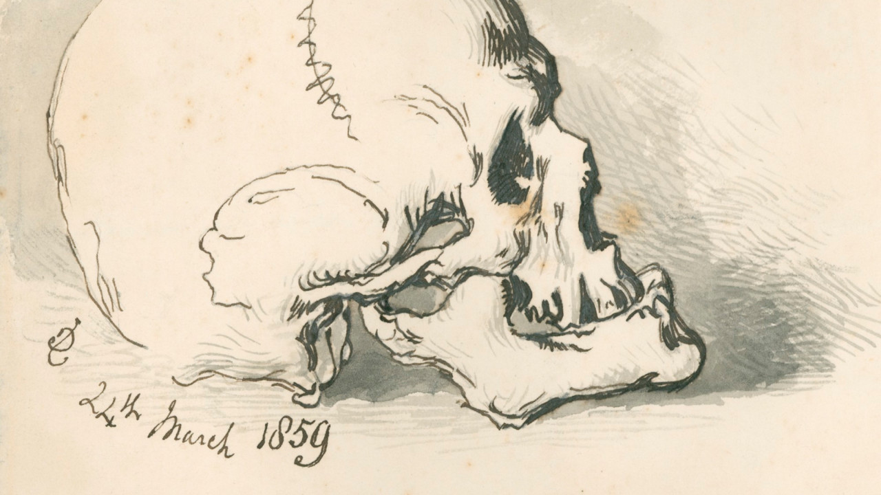 Sir John Gilbert RA, Study of a skull