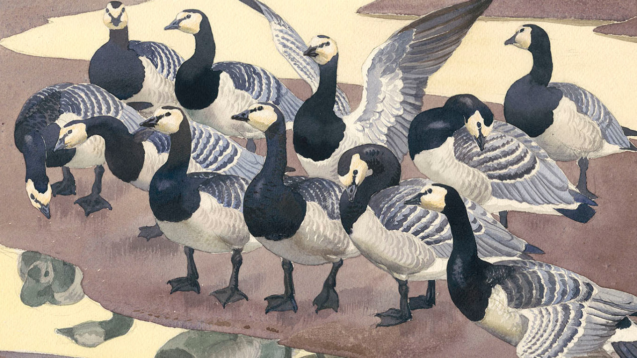 Charles Tunnicliffe RA, Solway Company (detail)