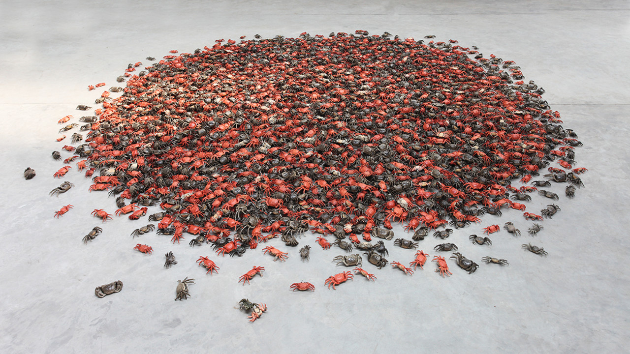Ai Weiwei, He Xie