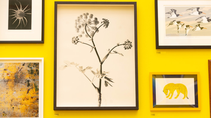 Installation view of the Summer Exhibition 2022 at the Royal Academy of Arts, London, 21 June – 21 August 2022