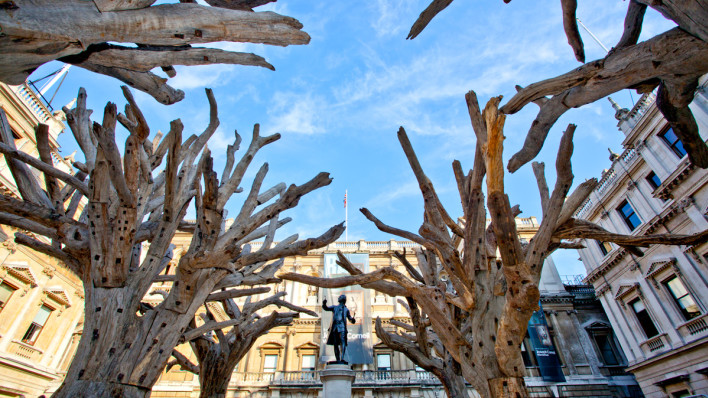 Ai Weiwei, Tree, 2009-10, 2015