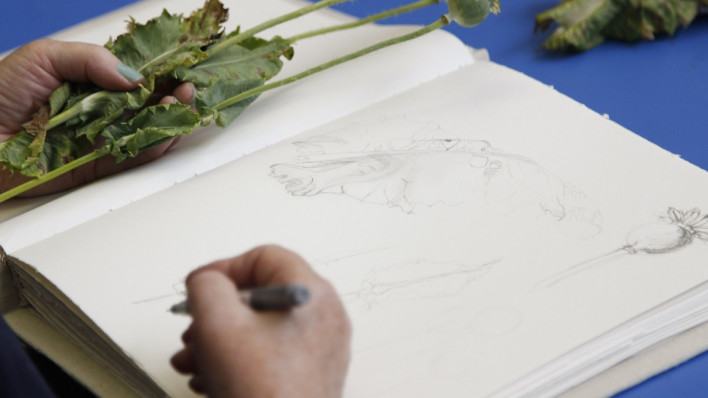 Courses and classes - Saturday morning drawing workshops