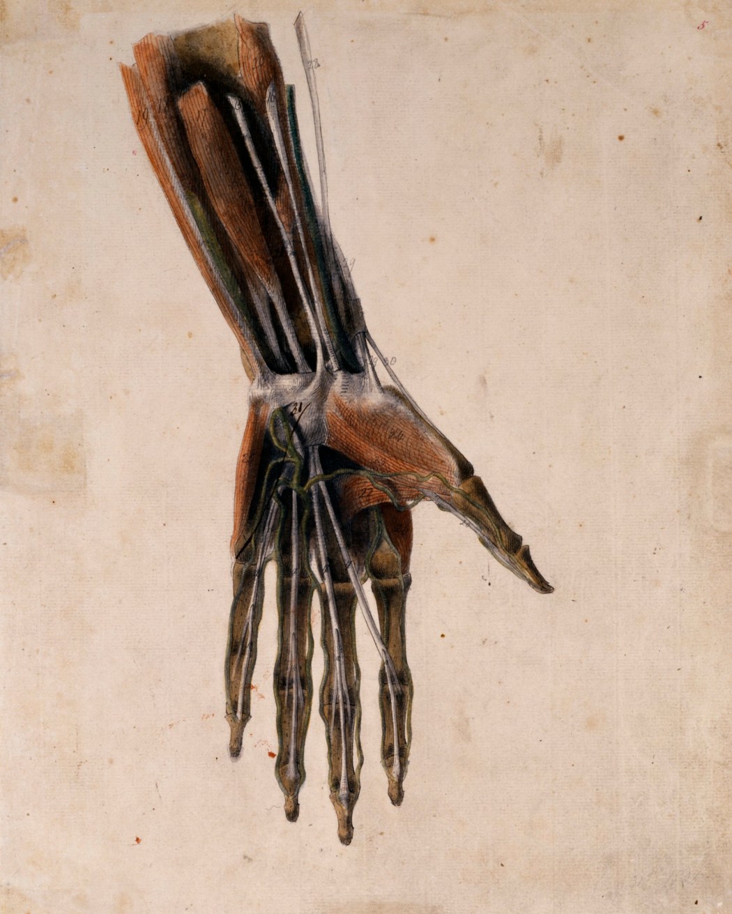 Benjamin Robert Haydon Artist Royal Academy Of Arts