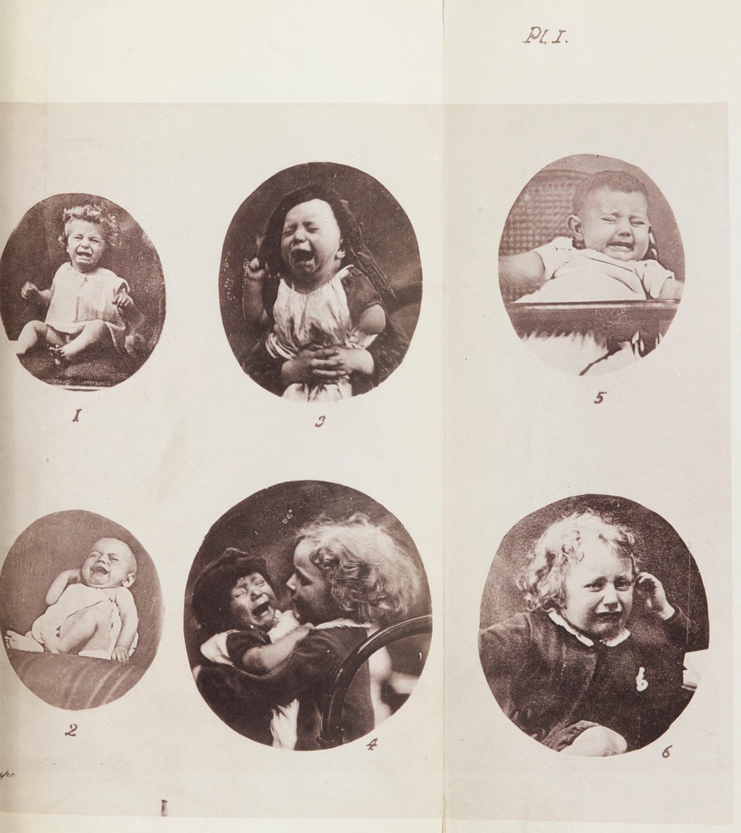 The Expression Of The Emotions In Man And Animals. By Charles Darwin, .,  ., &c. With Photographic And Other Illustrations. | Books | RA  Collection | Royal Academy of Arts