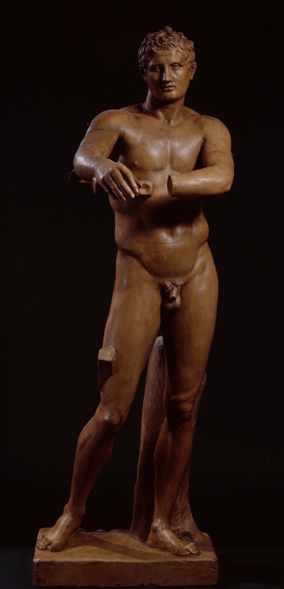 大英博物館 ダビデ像の目 The Brucciani Collection - 彫刻/オブジェクト