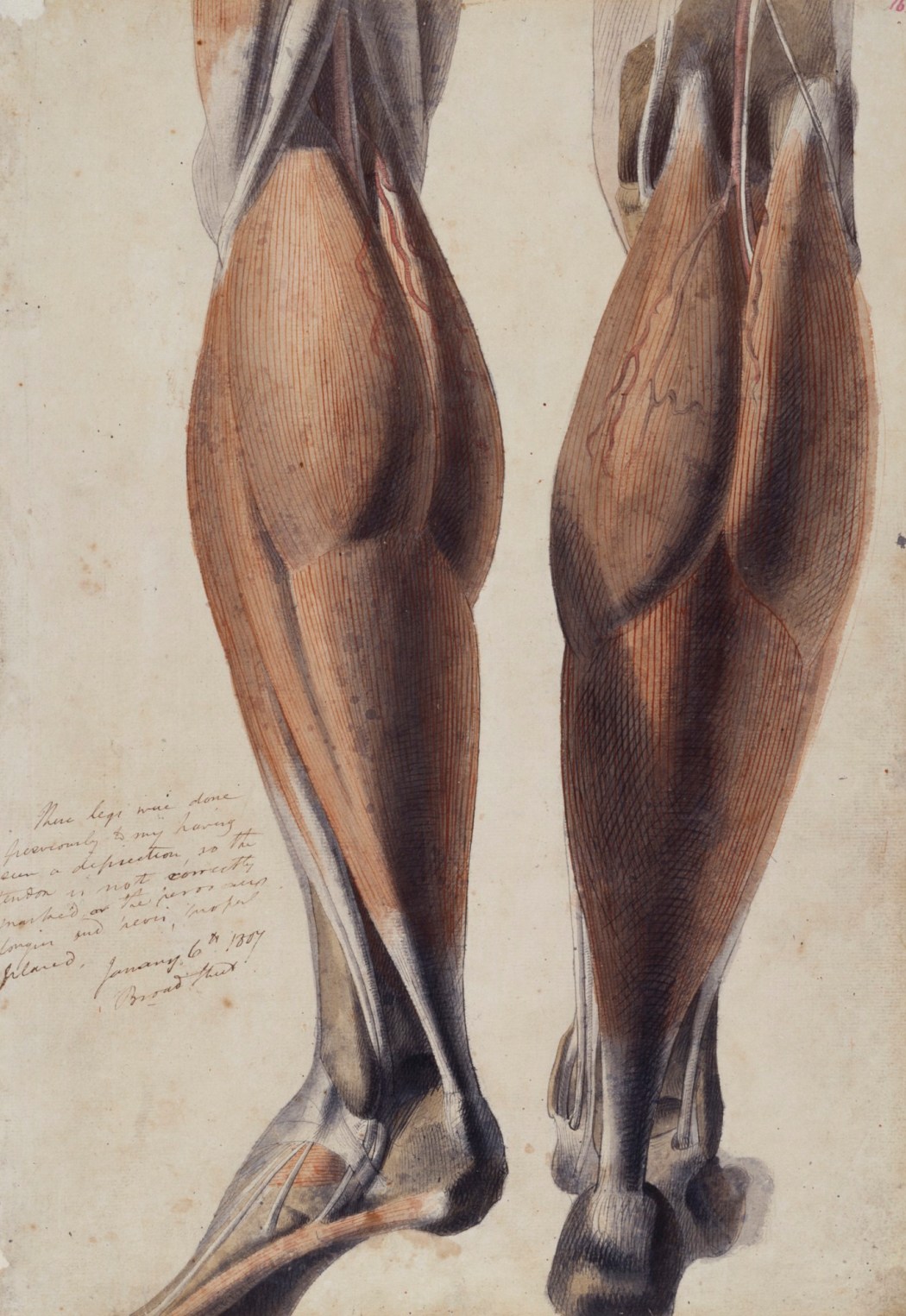 Benjamin Robert Haydon Artist Royal Academy Of Arts