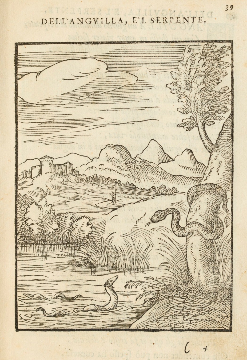 Cento Favole Morali De i piu illustri antichi, & moderni