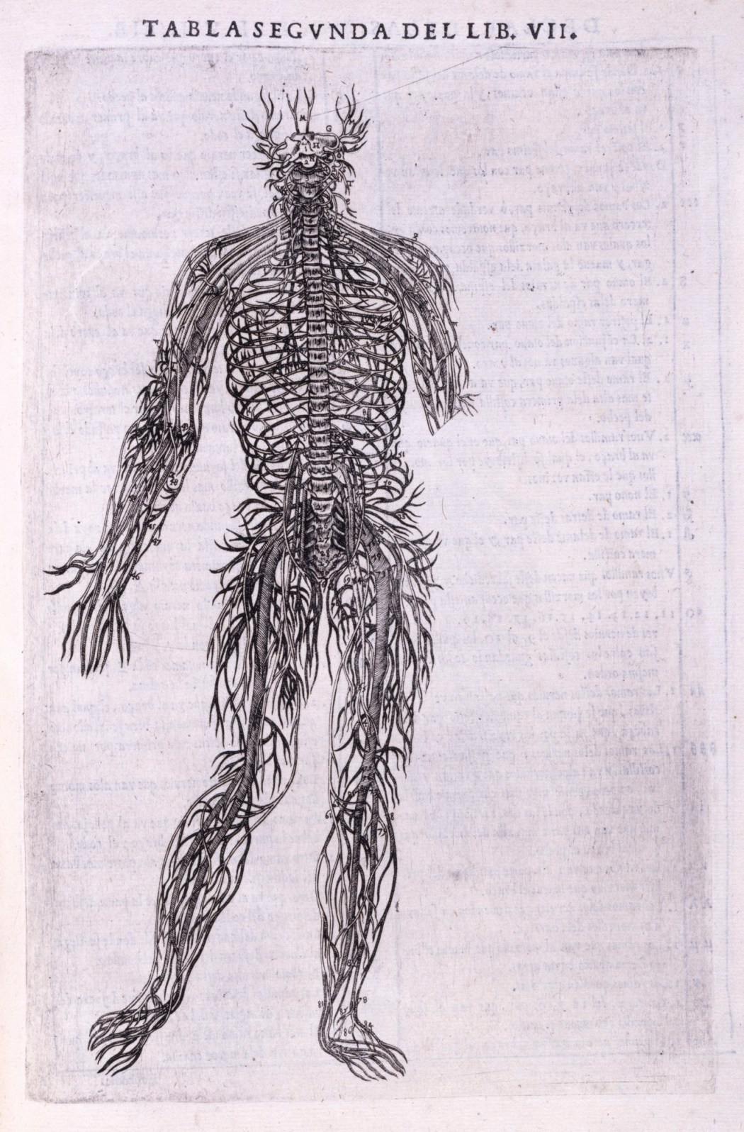 Andreas Vesalius and De Fabrica – Circulating Now from the NLM Historical  Collections