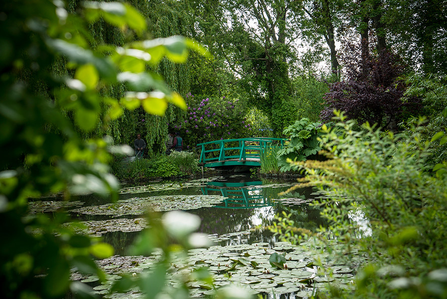Painting The Modern Garden Monet To Matisse Exhibition Royal
