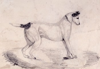Sir John Everett Millais Bt. PRA, A dog in profile