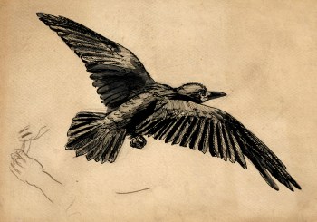 Sir John Everett Millais Bt. PRA, A rook in flight - a study for 'Christmas Eve, 1887'