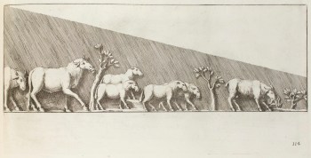 Pietro Santi Bartoli, Plate 114: Dacian cattle 