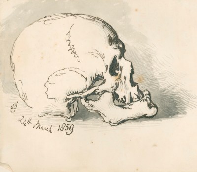 Sir John Gilbert RA, Study of a skull
