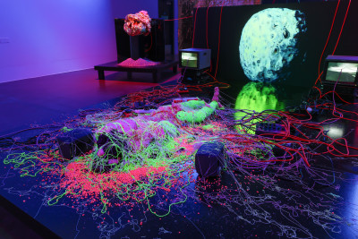 Benedict Drew, KAPUT (detail)