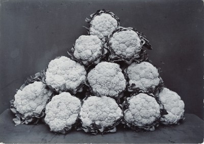 Charles Jones, Broccoli Leamington