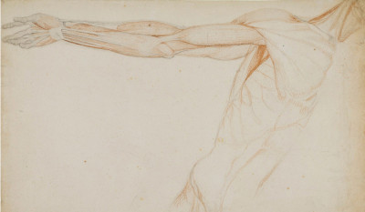 John Flaxman RA, Anatomical study of the muscles of the right arm and torso