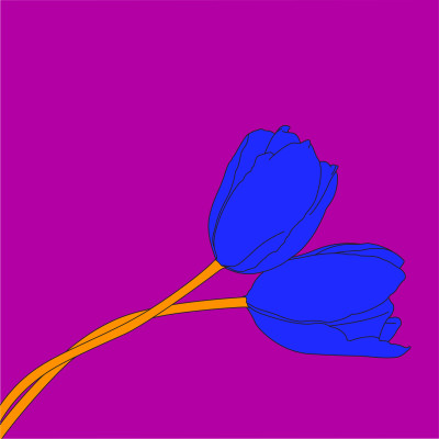 Michael Craig-Martin, Tulip (after Mapplethorpe)