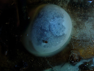 Pierre Huyghe, video still from 'IN. BORDER. DEEP.', Hauser & Wirth London, 2014