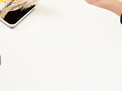 What do you notice about the different brushes?