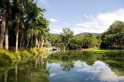 Inhotim Garden