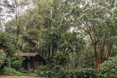 , Armitage's studio set in the lush grounds of his Nairobi home