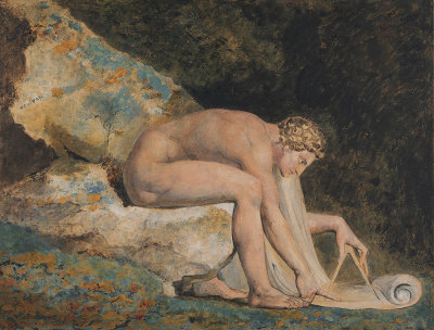 William Blake, Newton
