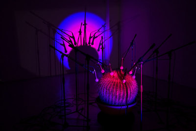 Installation view of work by Clara Hastrup