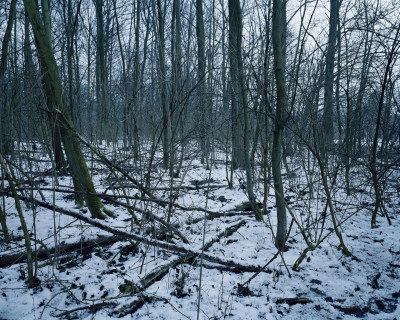 Chloe Dewe Matthews, From Shot at Dawn 2013