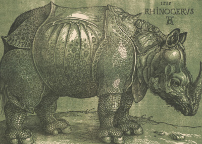 A chiaroscuro woodcut made after 1620 by printmaker Willem Janssen, after Albrecht Dürer’s Rhinoceros, 1515