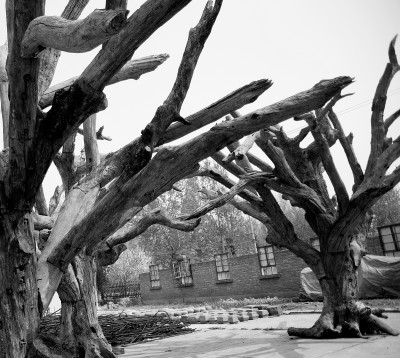 Part of the installation work 'Tree' in Ai Weiwei's Beijing studio