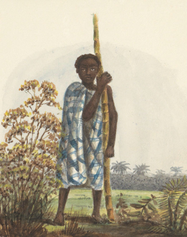 Jacob Marius Adriaan Martini van Geffen, Boy with sugar cane