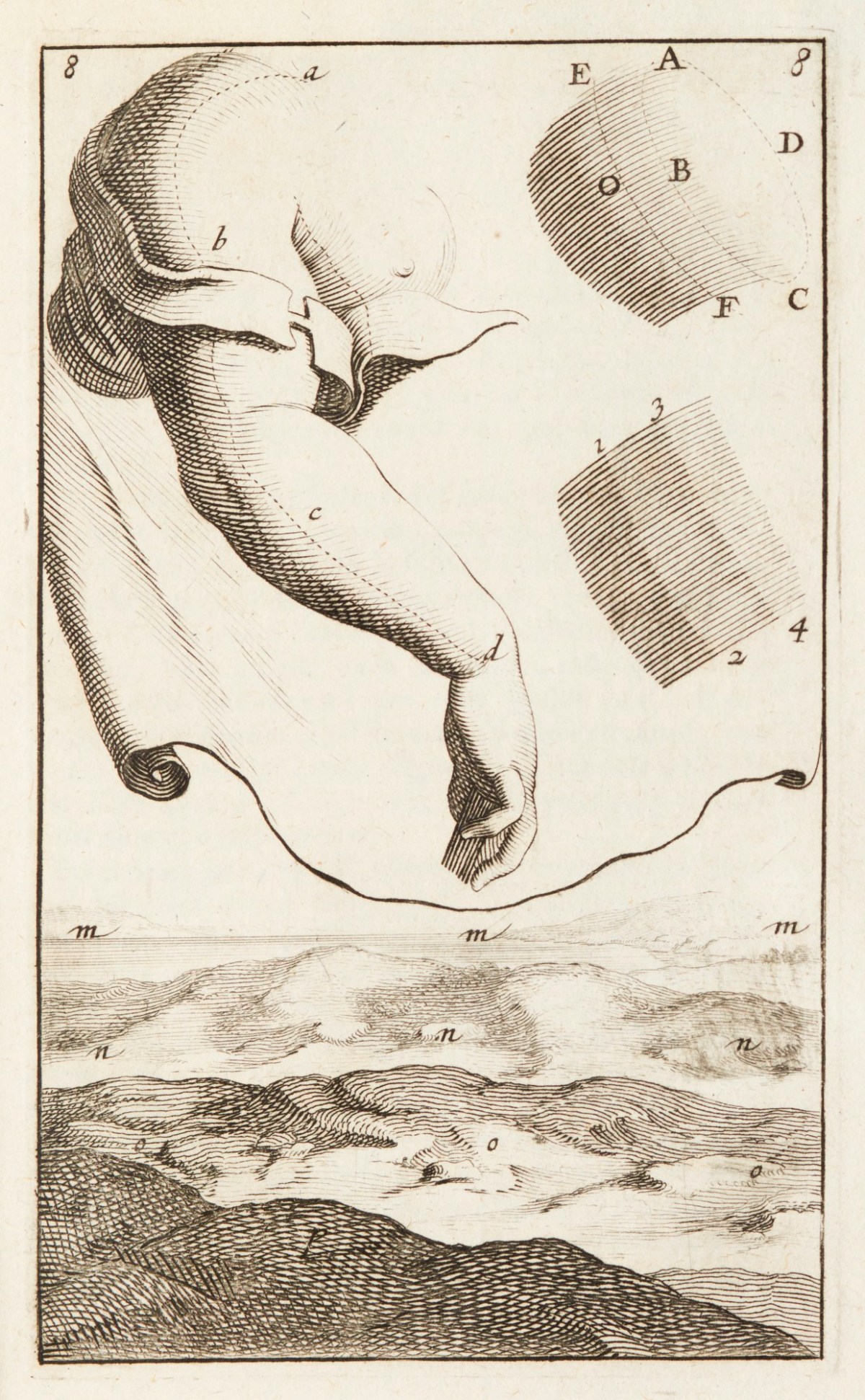 Unsigned, Plate giving examples of different strengths of line engraving and effects of acid.