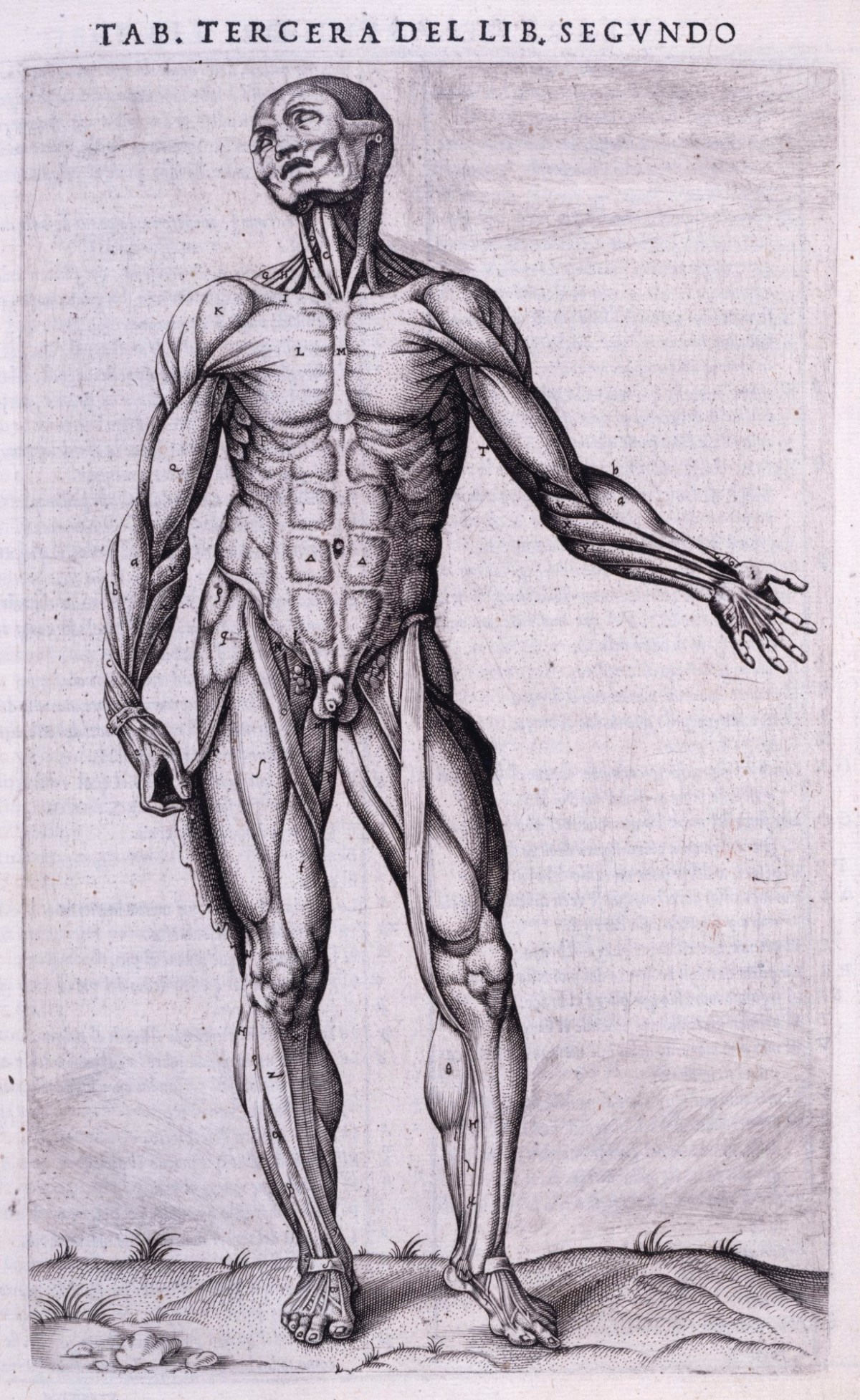 Gaspar Becerra, Historia De la composicion del cuerpo humano, escrita por Ioan de Valverde de Hamusco.
