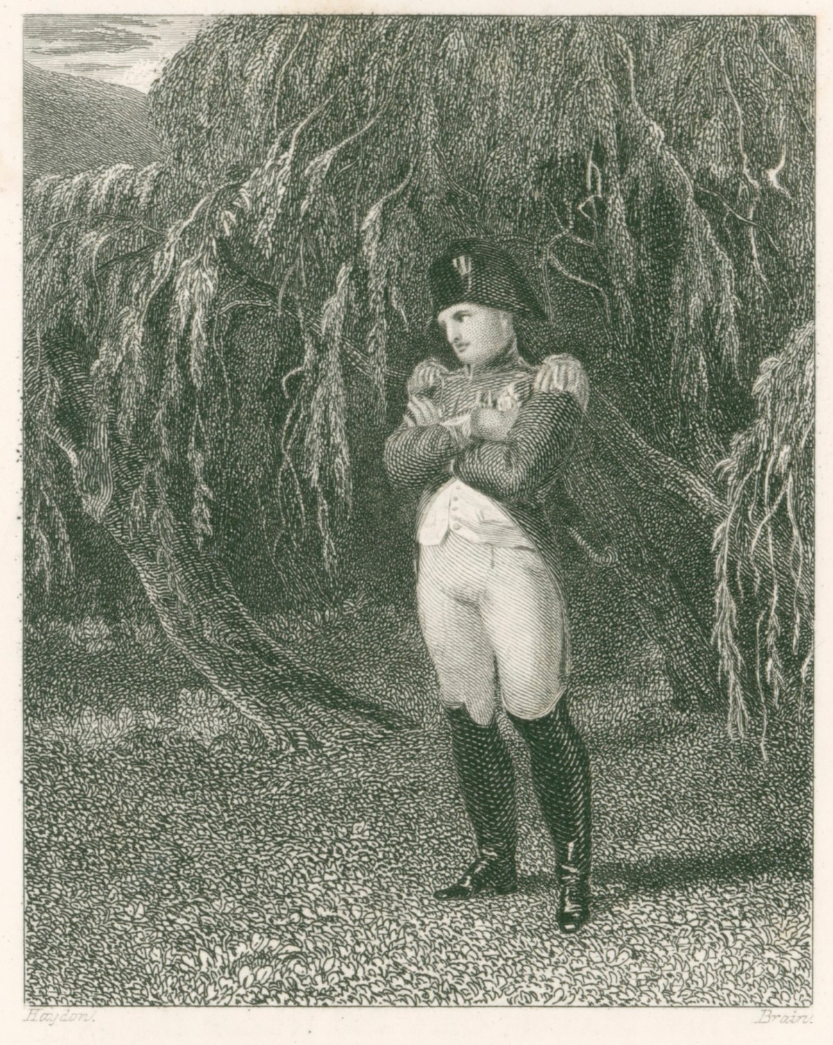 Benjamin Robert Haydon, Buonaparte