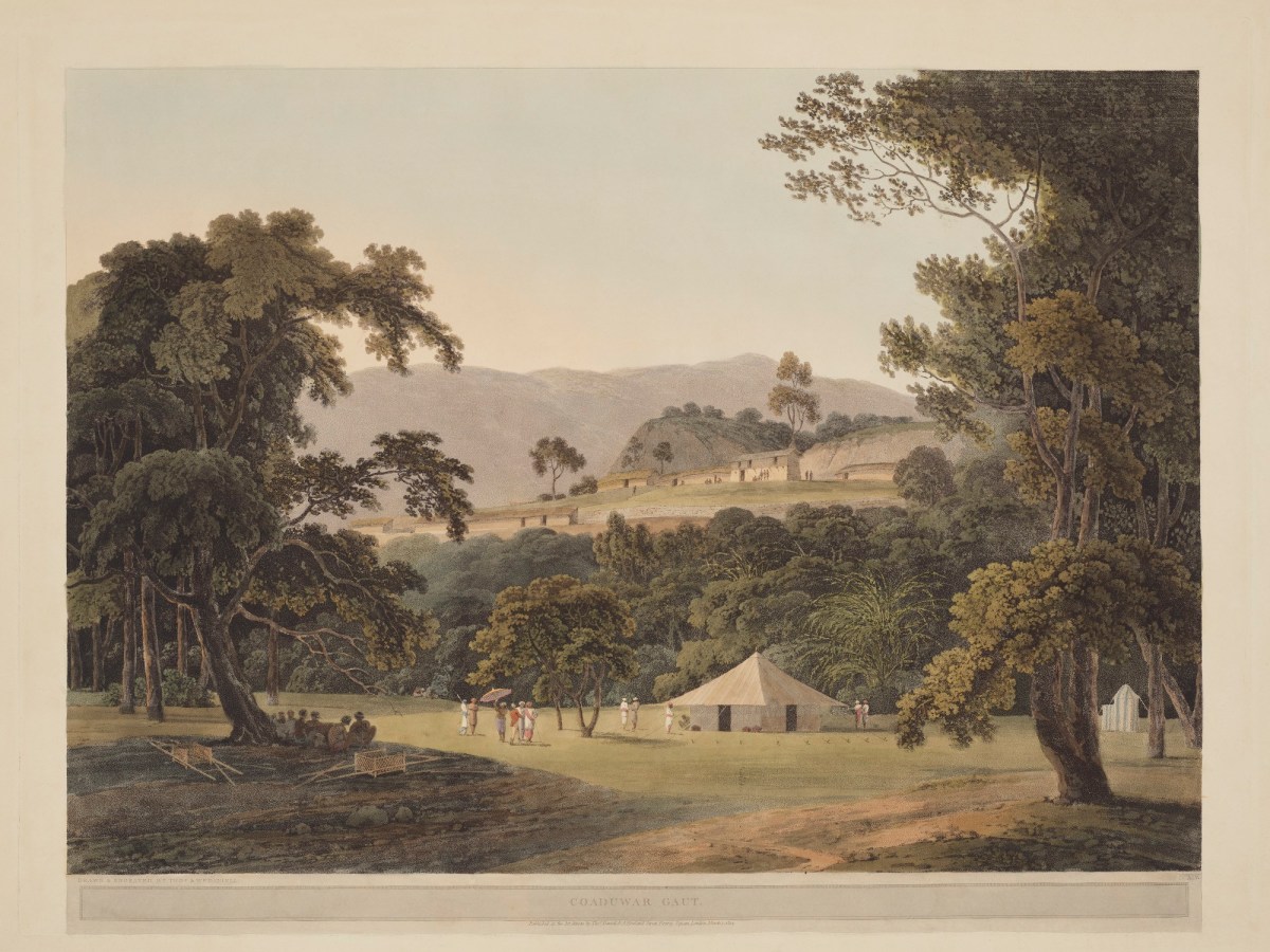 Thomas Daniell RA, Coaduwar Gaut