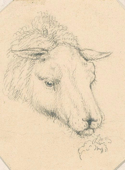 Sir Edwin Landseer RA, Head of a grazing sheep