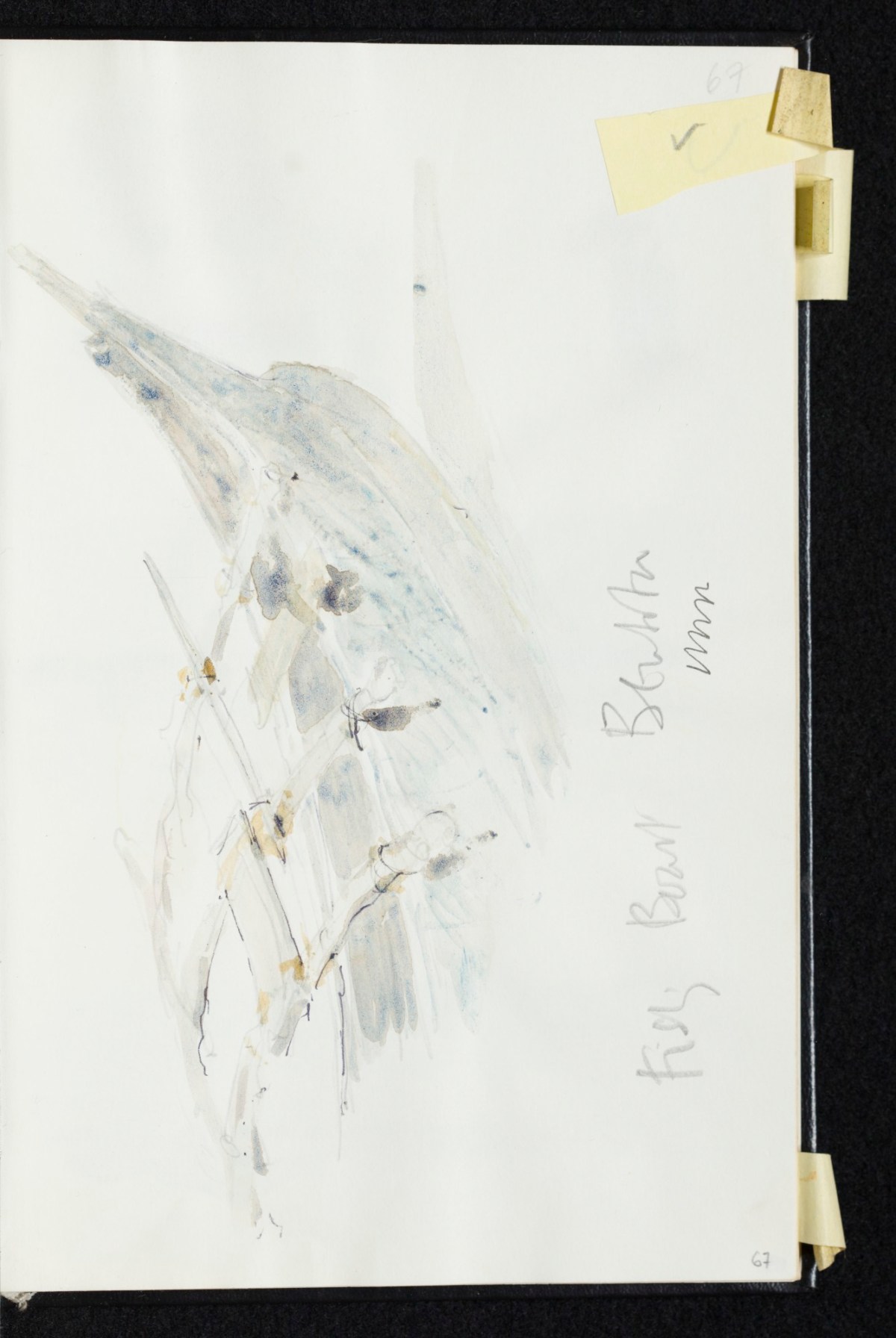 Sir Hugh Casson PRA, Sri Lanka sketchbook