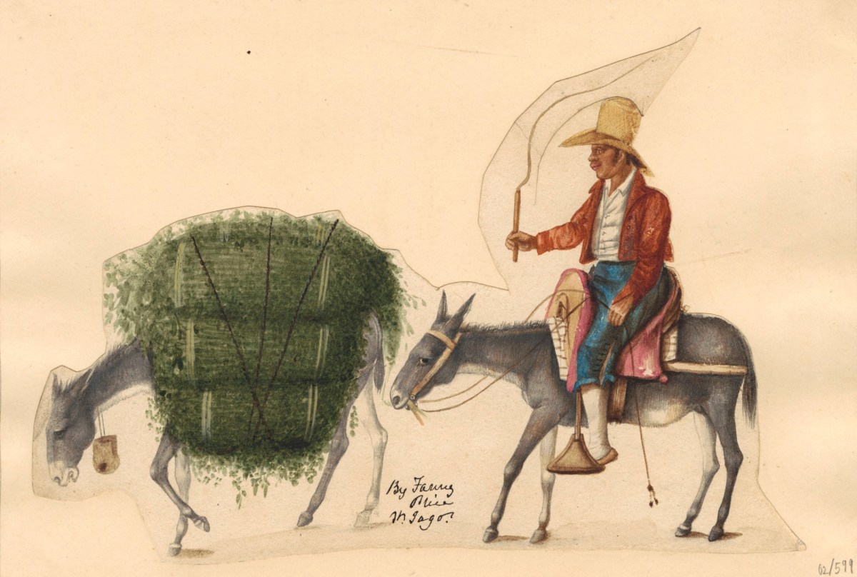 Mrs Fanny Barrie, A man with two donkeys