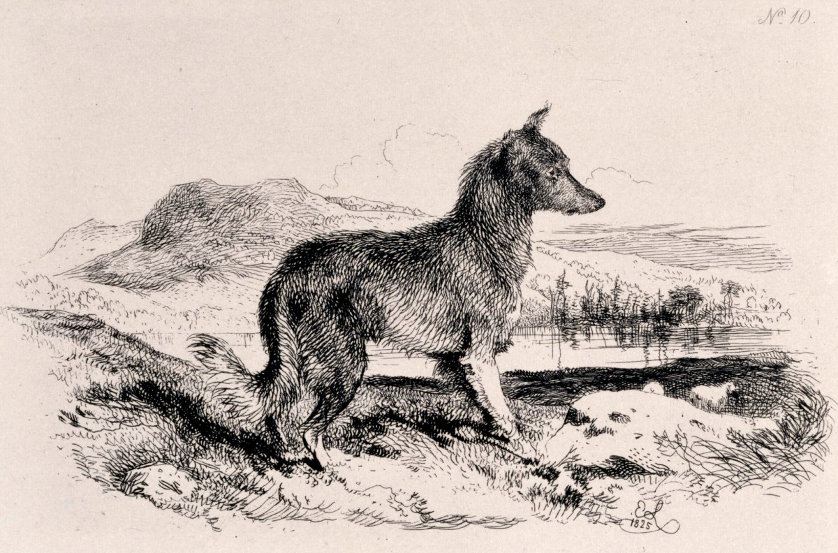 Sir Edwin Landseer RA, The Watchman
