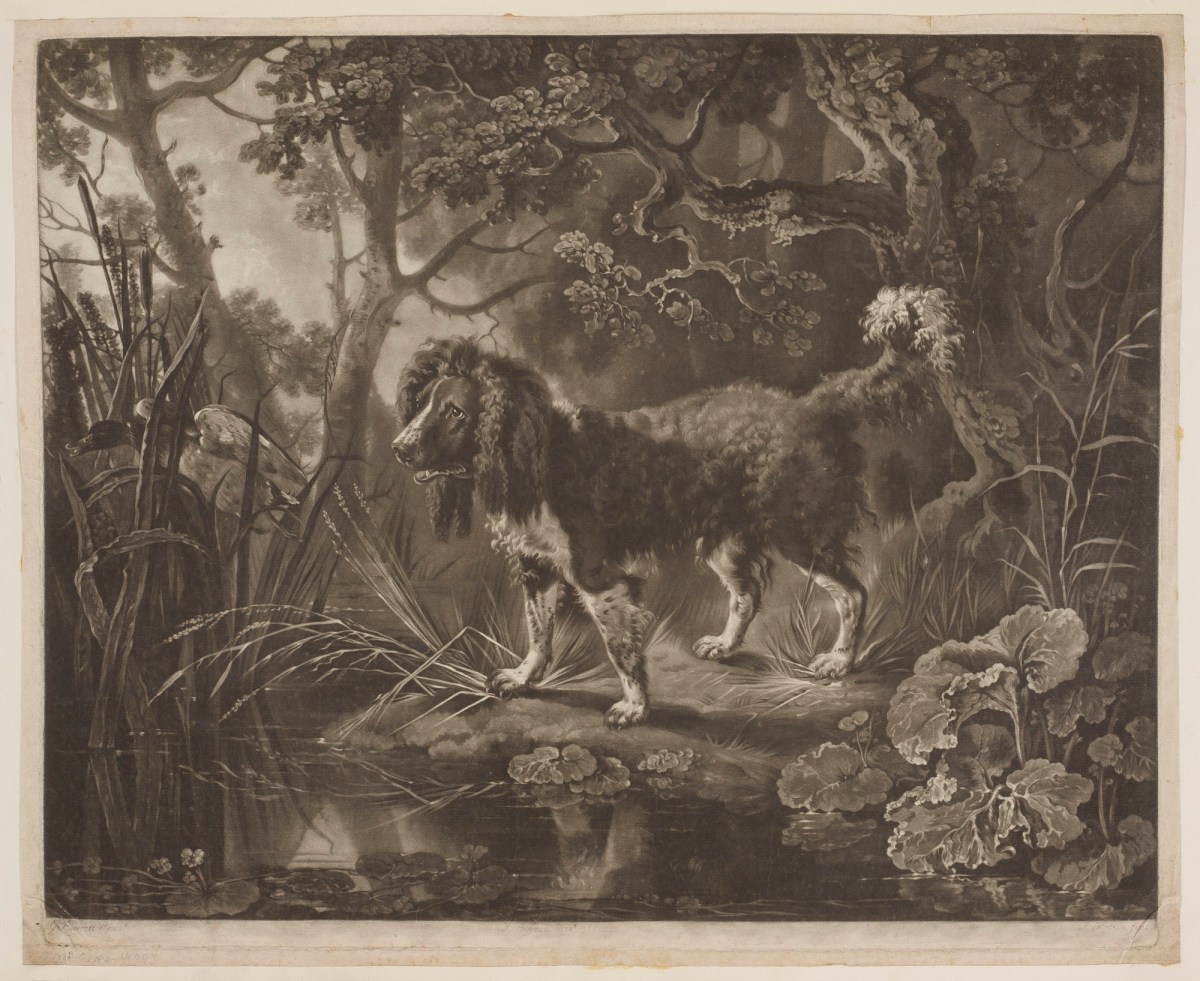 George Barret RA, A Spaniel and Wild Duck