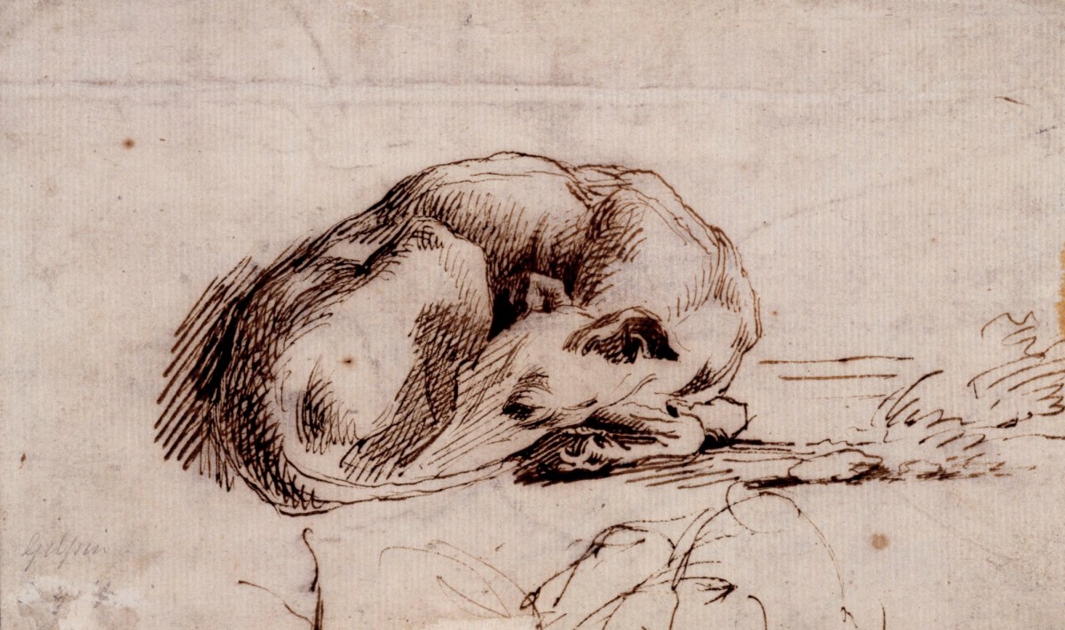 Sleeping deals dog painting