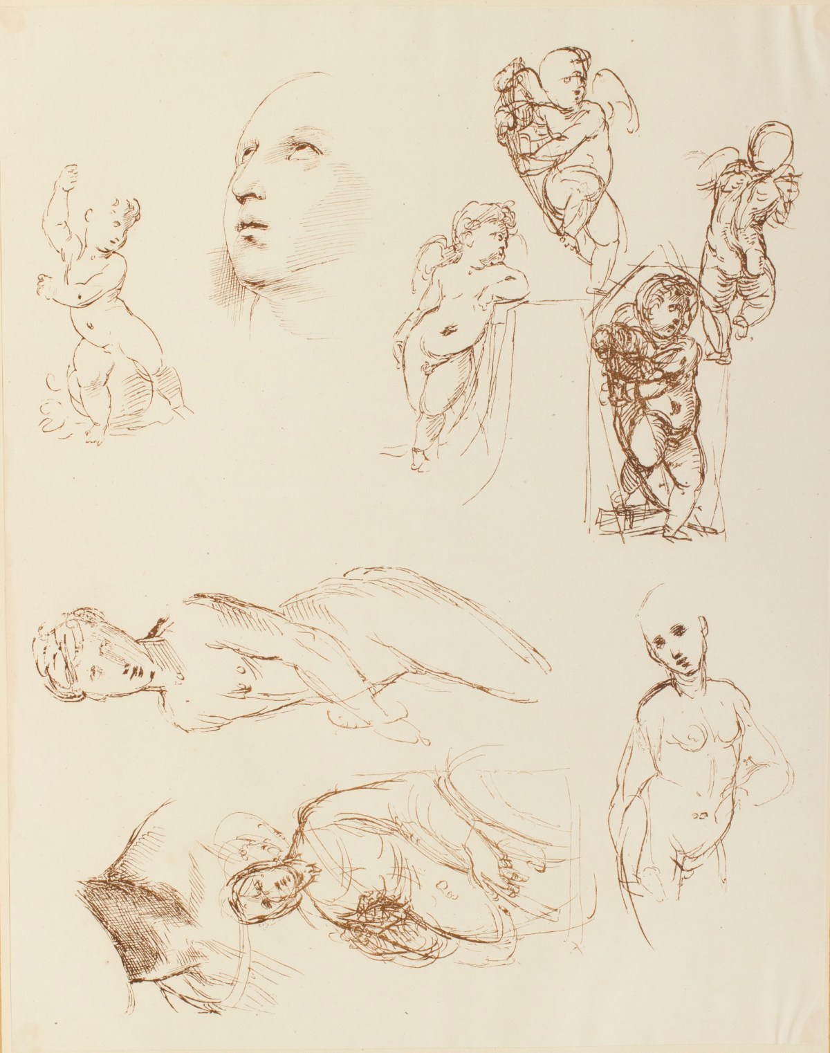 Raphael, Plate 7: 'A sheet of studies' attributed to Raffaello Sanzio