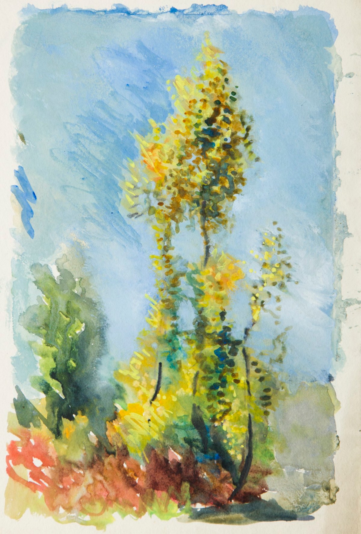 Sir George Clausen RA, Study of trees against sky