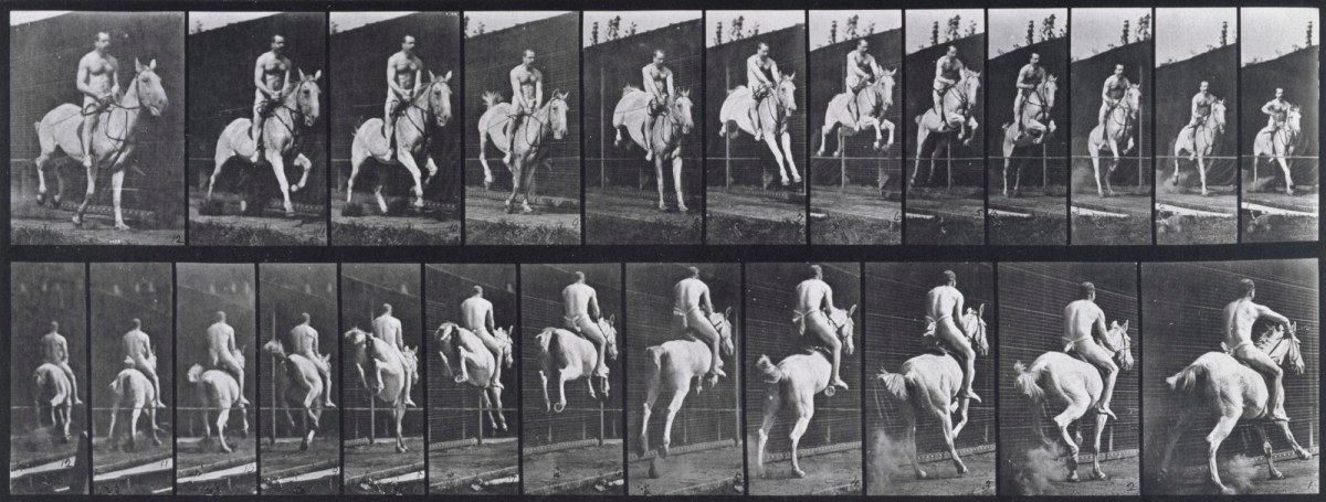 Eadweard Muybridge, Jumping a hurdle; saddle; rider, 105; nude; gray mare Pandora.