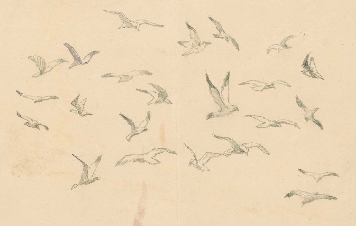Alfred Parsons RA, Studies of birds