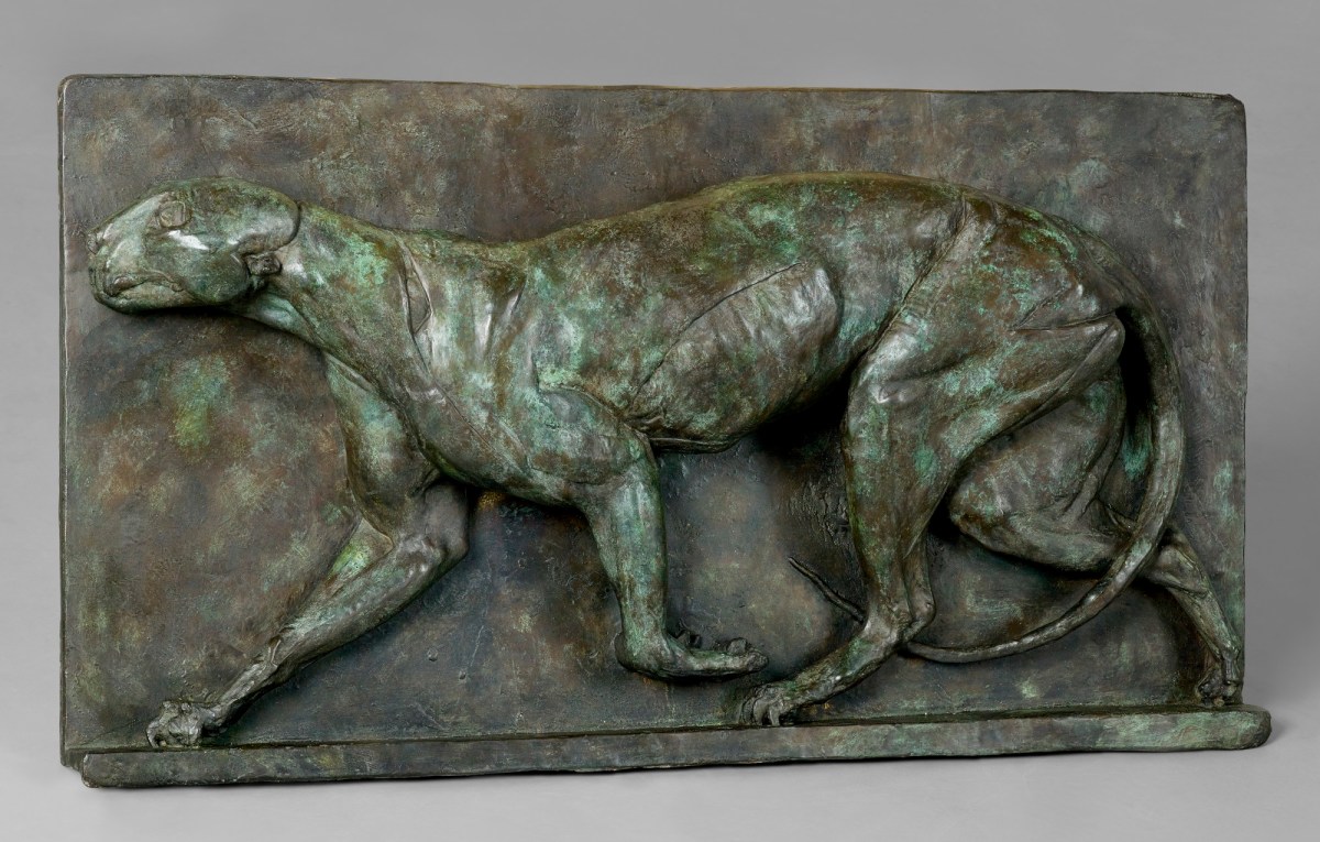 Tissa Ranasingh, Écorché Leopard