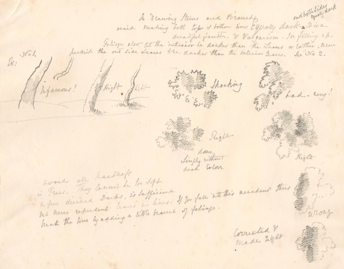 Oriana Georgiana Reinagle, Sketches and notes on how to draw trees