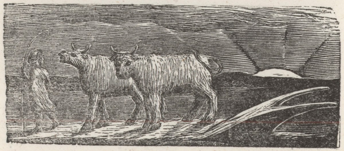 William Blake, 'And Unyok'd Heifers, Loitering Homeward, Low'