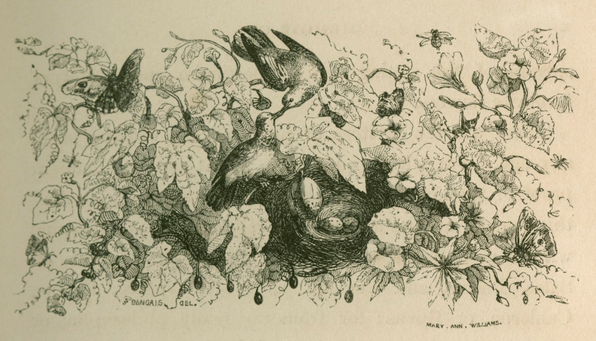 François Louis Français, Love Birds and Foliage