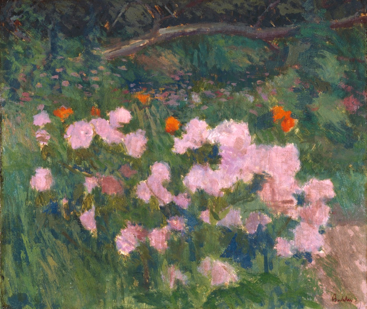 Robert Buhler RA, Flowers: Chrysanthemum Bush